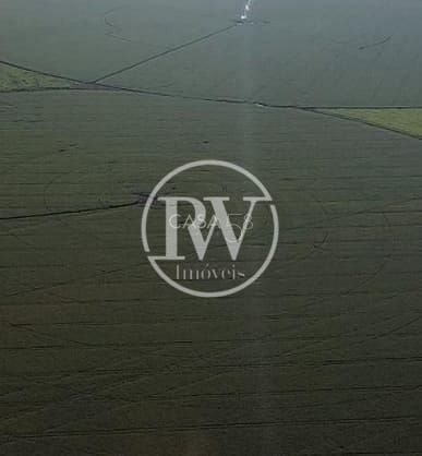 Fazenda à venda em Goiás – 110 alqueires, casa sede e terra de alta qualidade
