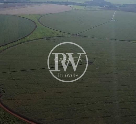 Fazenda à venda em Goiás – 110 alqueires, casa sede e terra de alta qualidade