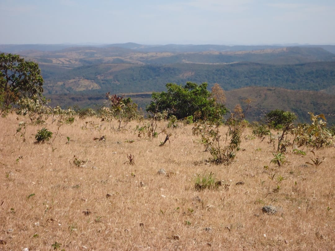 Fazenda à Venda – Município de Niquelândia/GO