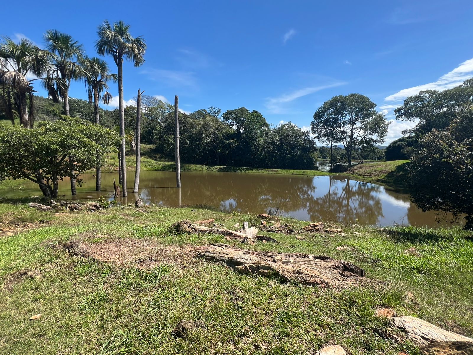 Fazenda 45 Alqueires com Infraestrutura Completa - Pirenópolis/GO