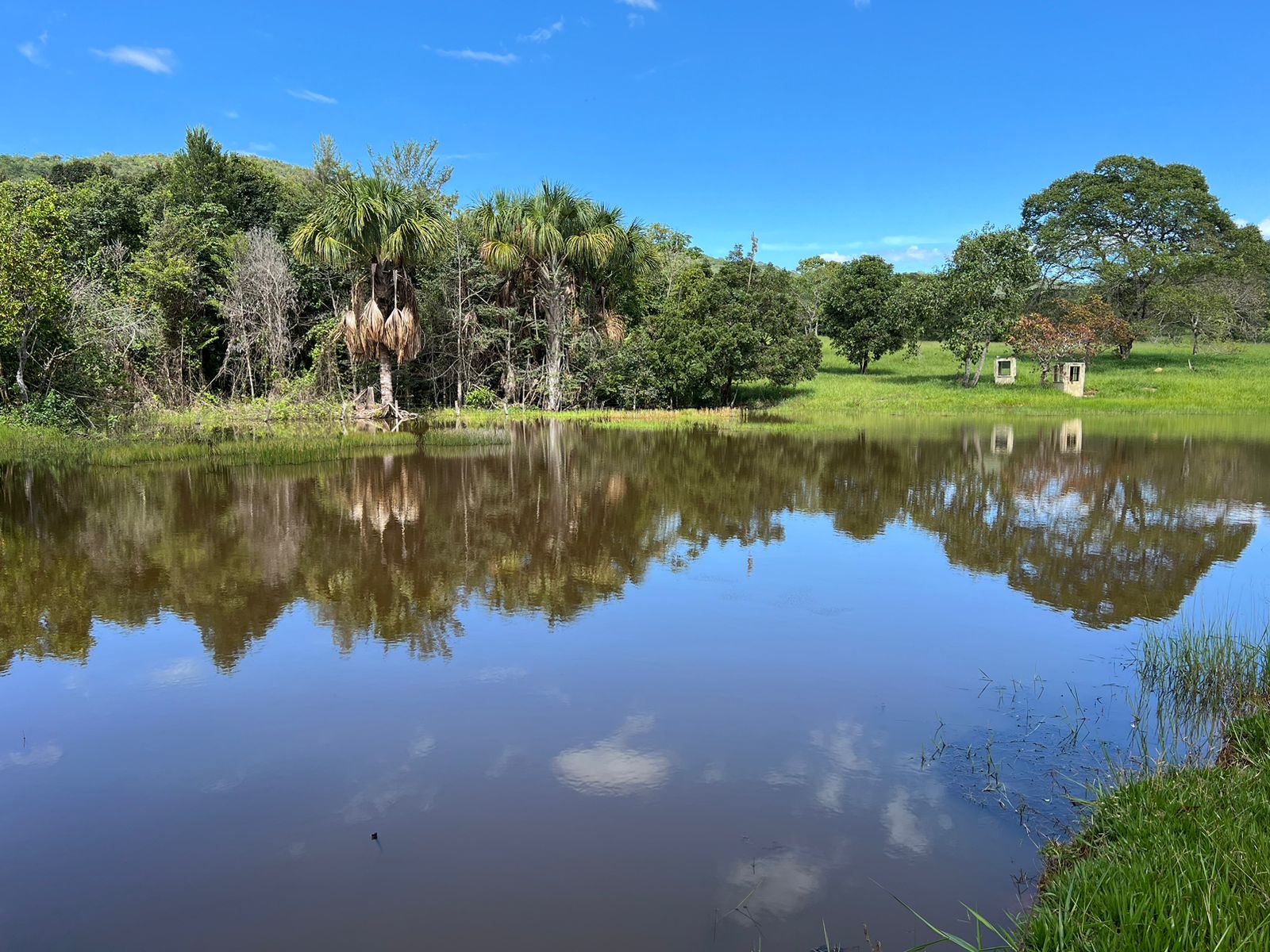 Fazenda 45 Alqueires com Infraestrutura Completa - Pirenópolis/GO