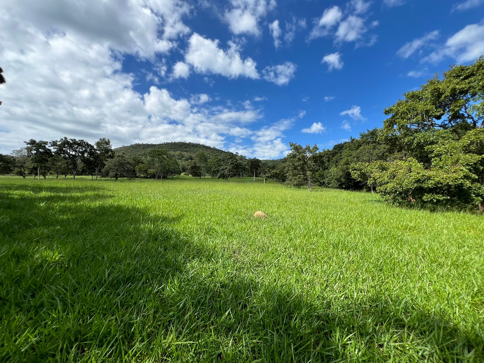 Fazenda 45 Alqueires com Infraestrutura Completa - Pirenópolis/GO