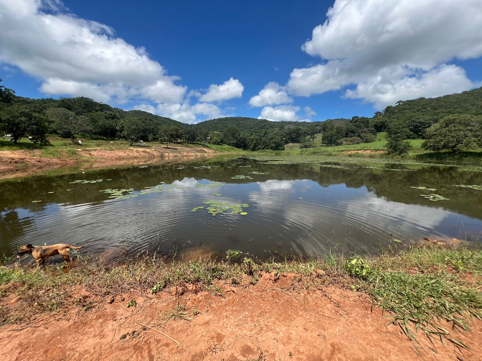 Fazenda 45 Alqueires com Infraestrutura Completa - Pirenópolis/GO
