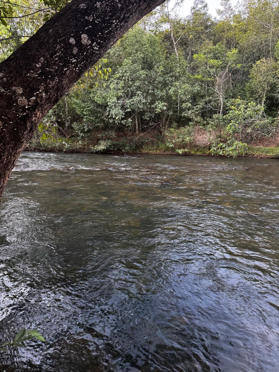 Chalé à Venda – Área Rural em Pirenópolis/GO