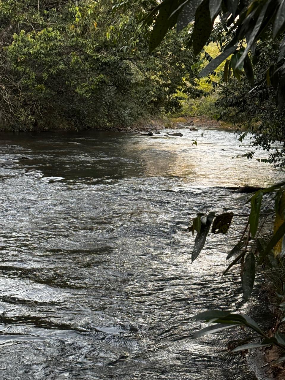 Chalé à Venda – Área Rural em Pirenópolis/GO