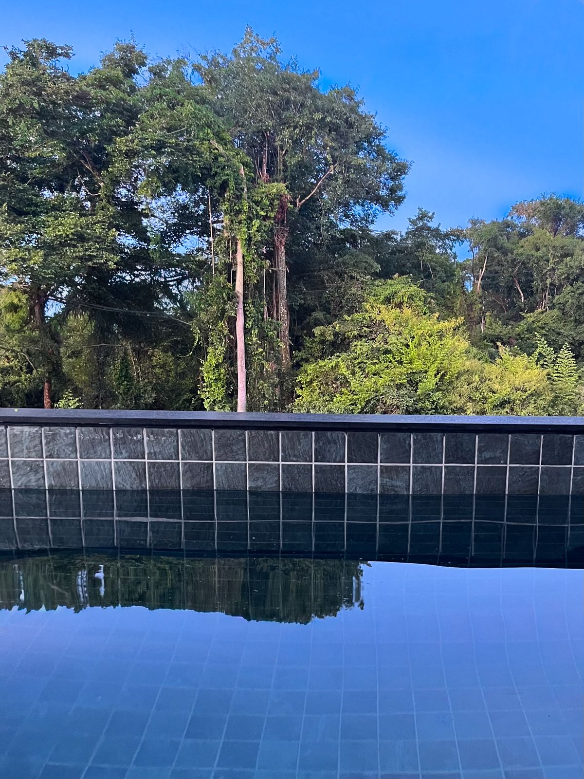 Triplex com Vista Definitiva para a Mata no Jardins Barcelona - Alto Padrão