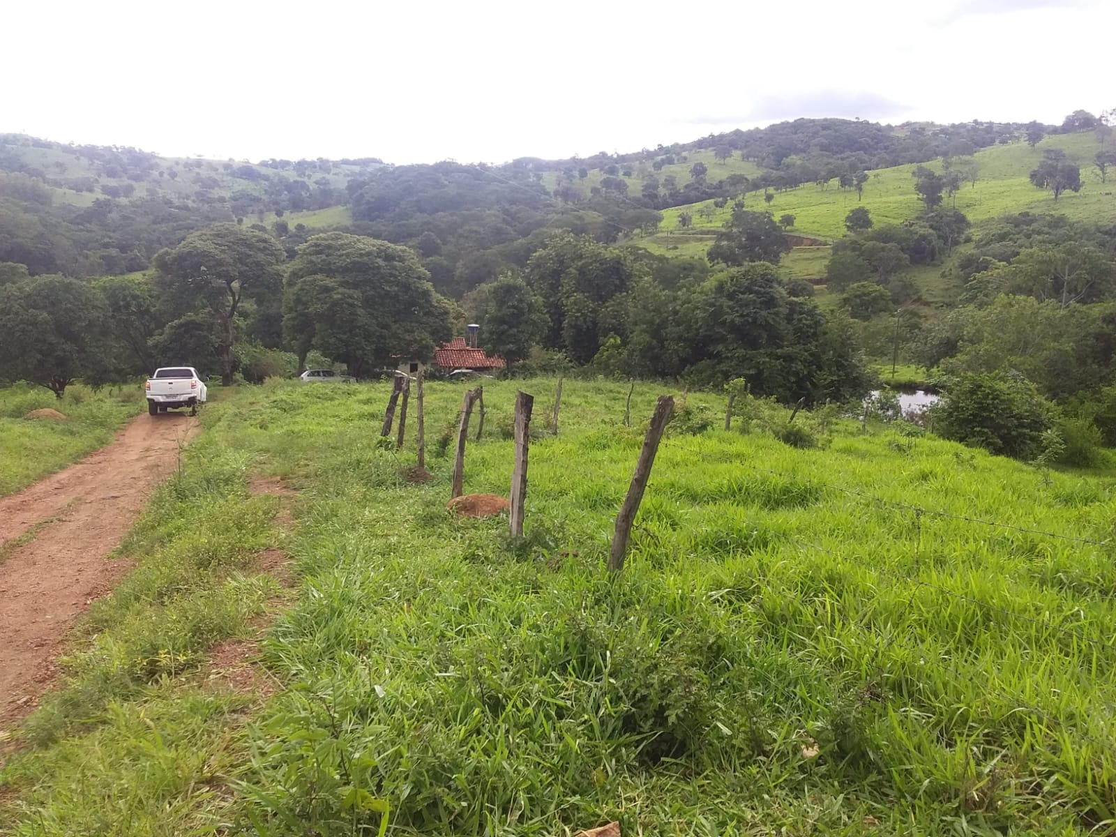 Fazenda de 25 Hectares com Escritura em Bonfinópolis - Ideal para Pecuária