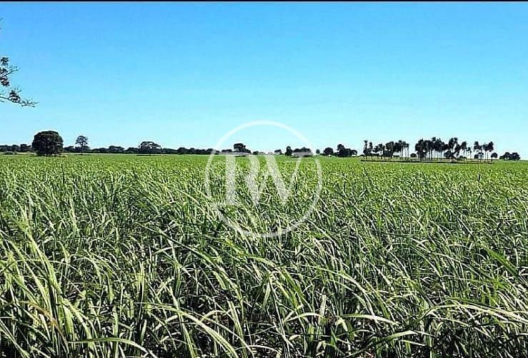 Fazenda à venda, rural, Quirinópolis, GO