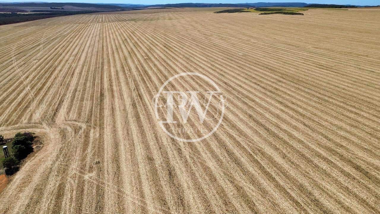 Mega Fazenda de Cana à Venda em São Paulo –5.000 Alqueires Altamente Produtivos