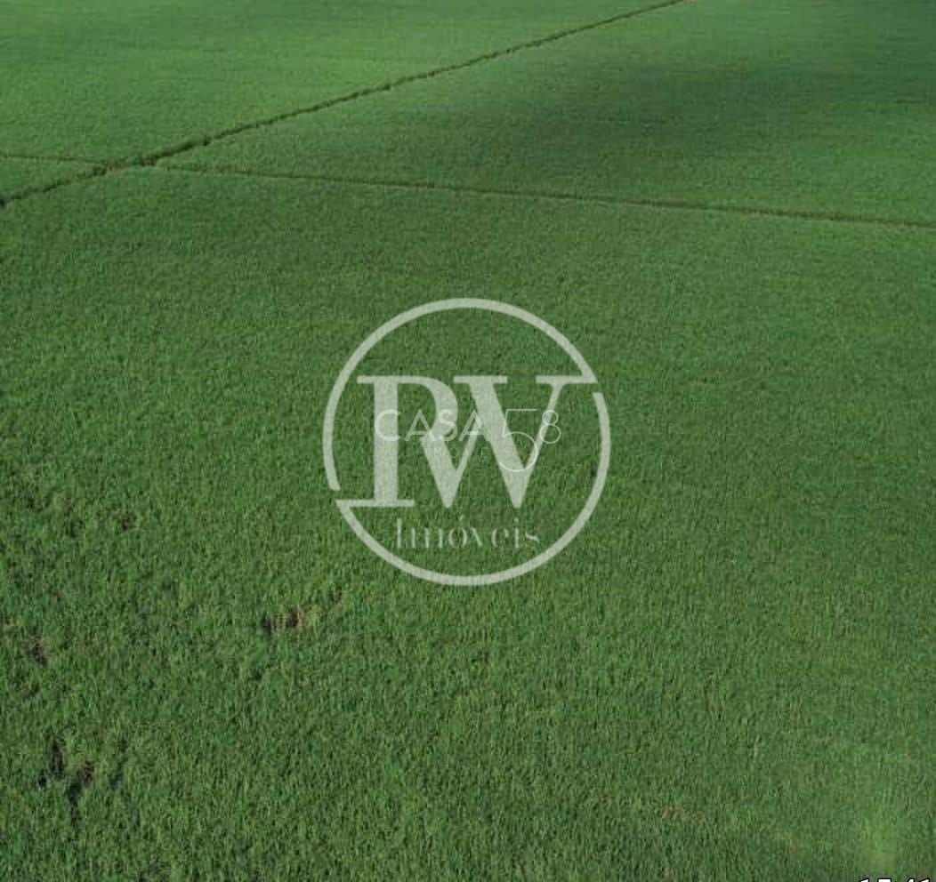 Mega Fazenda de Cana à Venda em São Paulo –5.000 Alqueires Altamente Produtivos