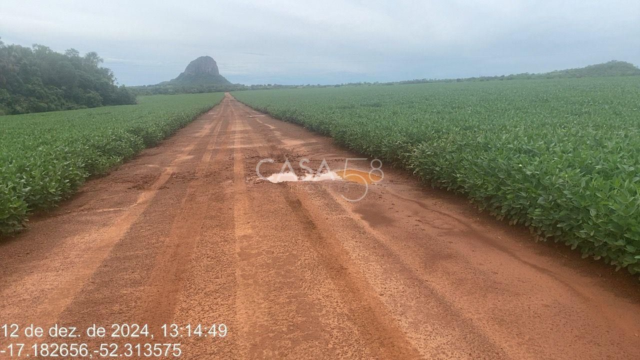 Fazenda de 11.963 ha à Venda em Caiapônia – GO | Alta Produtividade para Grãos