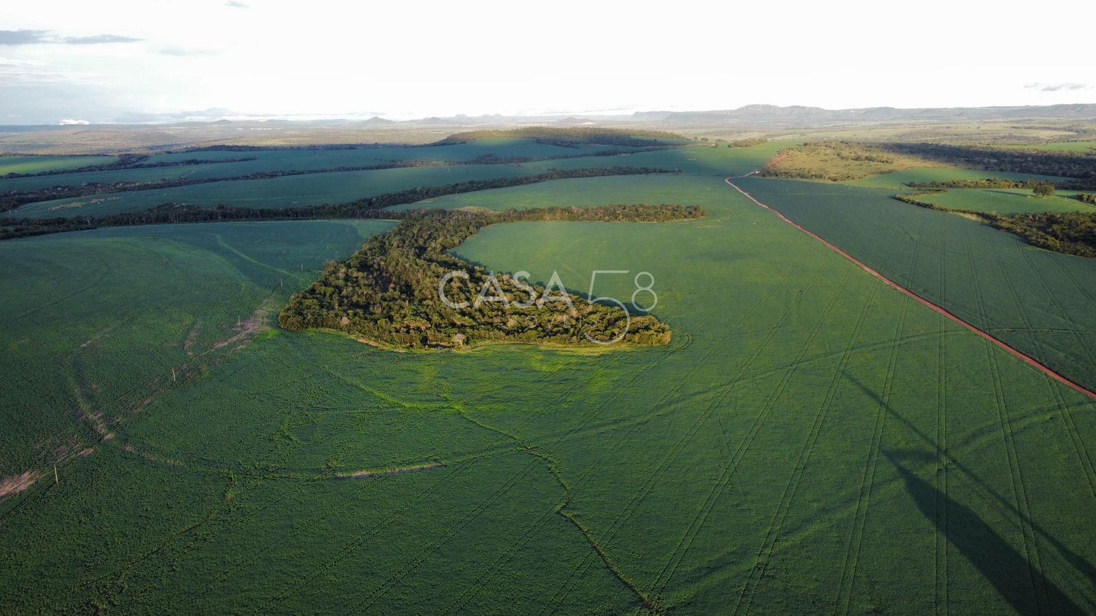 Fazenda de 11.963 ha à Venda em Caiapônia – GO | Alta Produtividade para Grãos