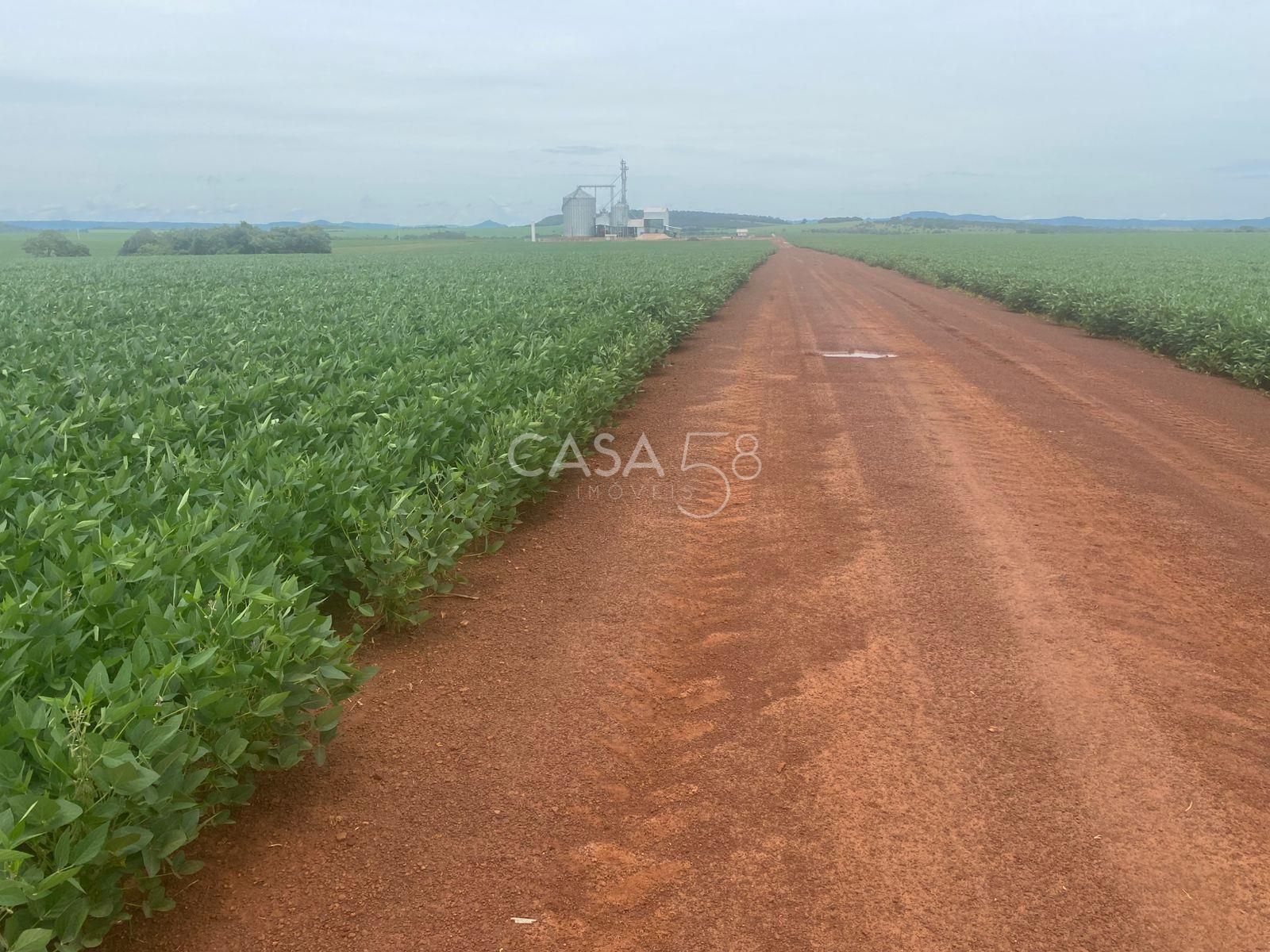 Fazenda de 11.963 ha à Venda em Caiapônia – GO | Alta Produtividade para Grãos