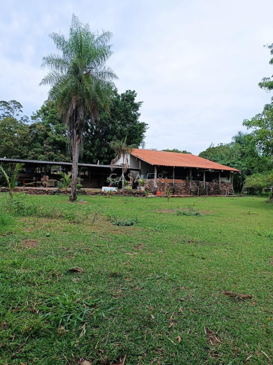 Fazenda à Venda com 36 Alqueires em São Miguel do Passa Quatro – GO