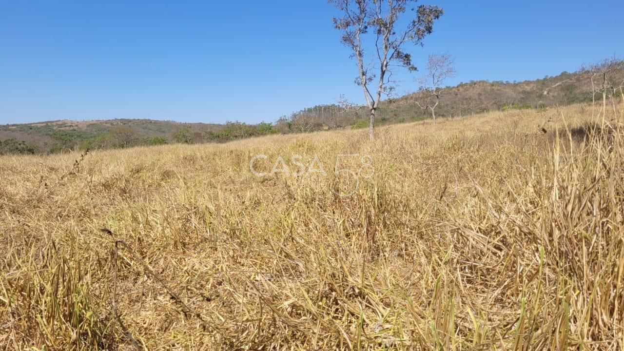 Fazenda à Venda com 36 Alqueires em São Miguel do Passa Quatro – GO