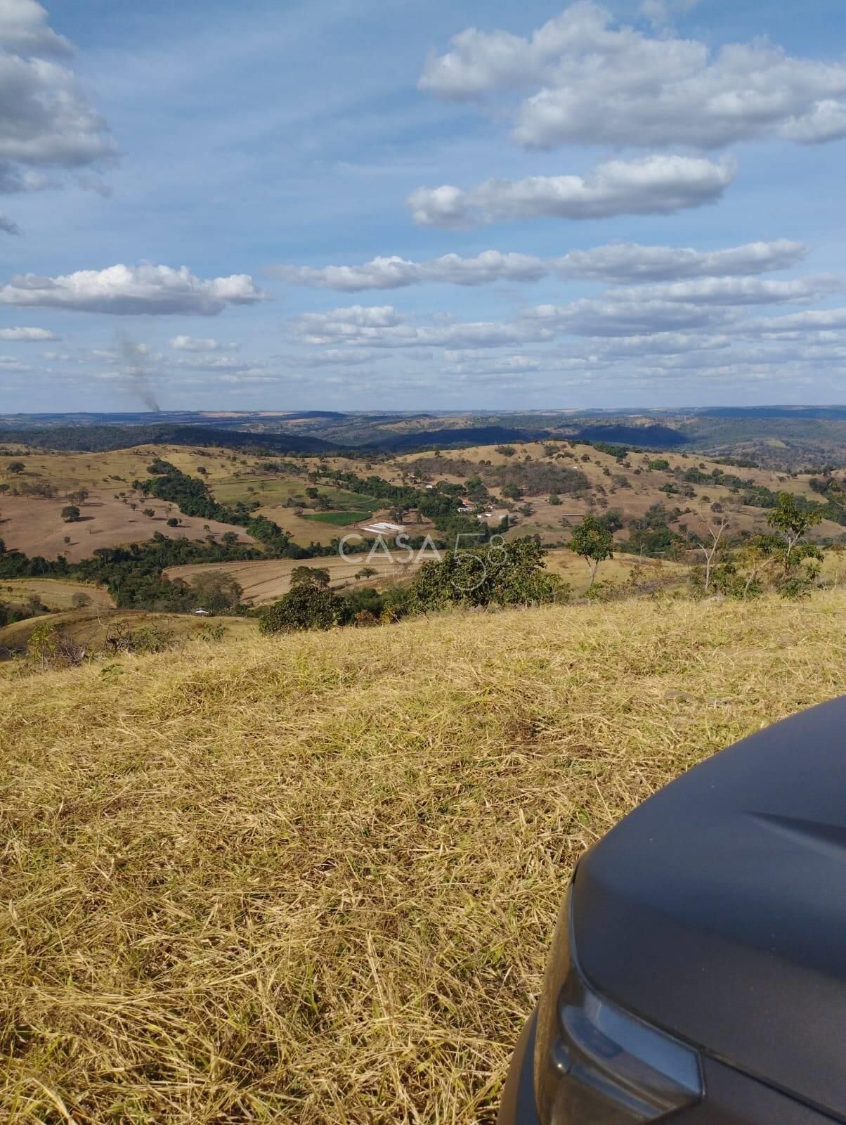 Fazenda à Venda em Bonfinópolis – GO | 145 Alqueires | Plantio + Pecuária