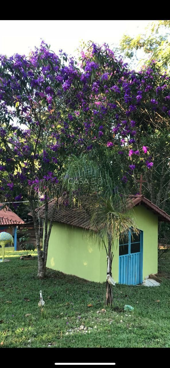 Fazenda à Venda em Bela Vista de Goiás – GO | 35 Alqueires | 25 em Lavoura