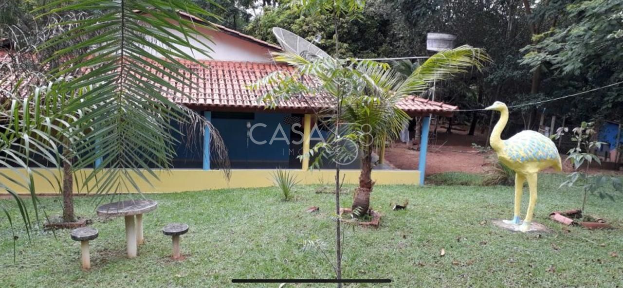 Fazenda à Venda em Bela Vista de Goiás – GO | 35 Alqueires | 25 em Lavoura