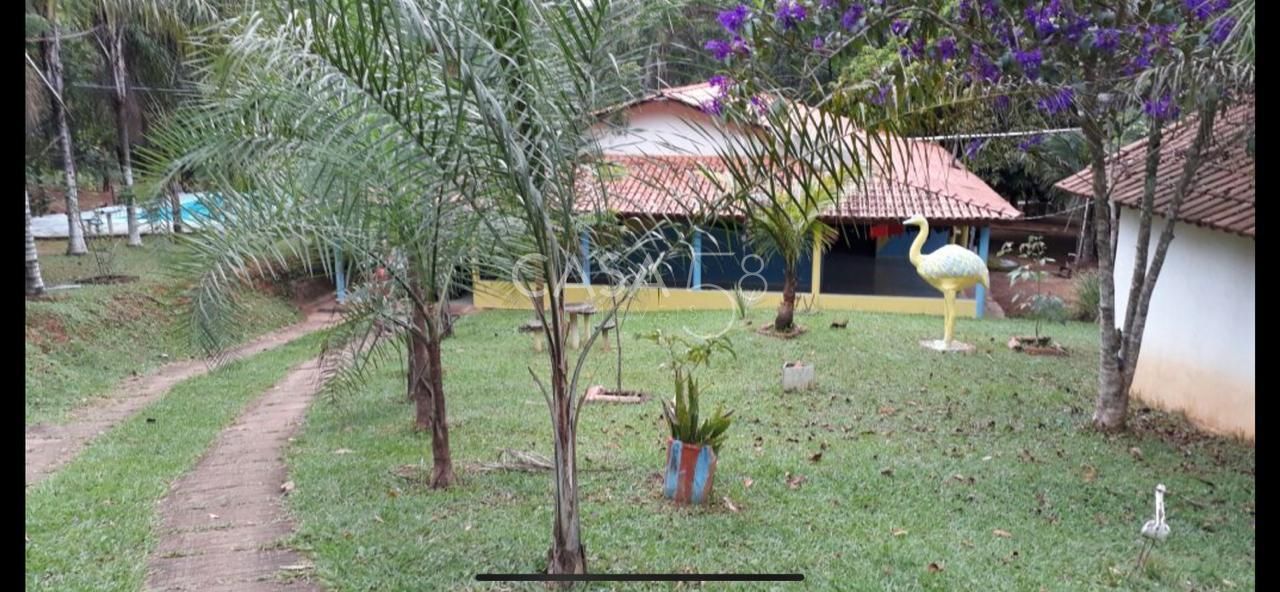 Fazenda à Venda em Bela Vista de Goiás – GO | 35 Alqueires | 25 em Lavoura