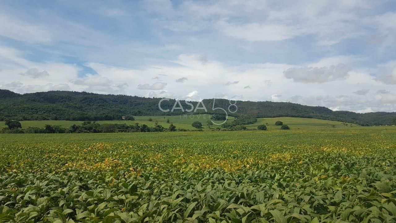 Fazenda à Venda em MineirosGO 126 Alqueires 335 ha em Lavoura Solo de Qualidade
