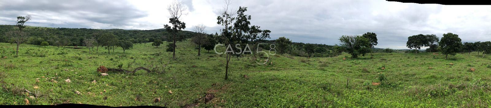 Fazenda à Venda em Marzagão-GO – 240 Alqueires | Pecuária Estruturada