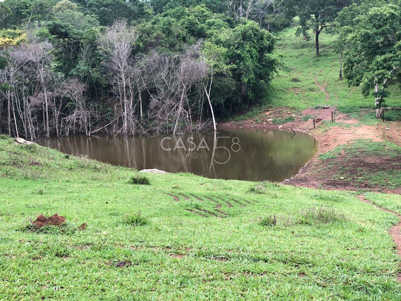 Fazenda à Venda em Marzagão-GO – 240 Alqueires | Pecuária Estruturada