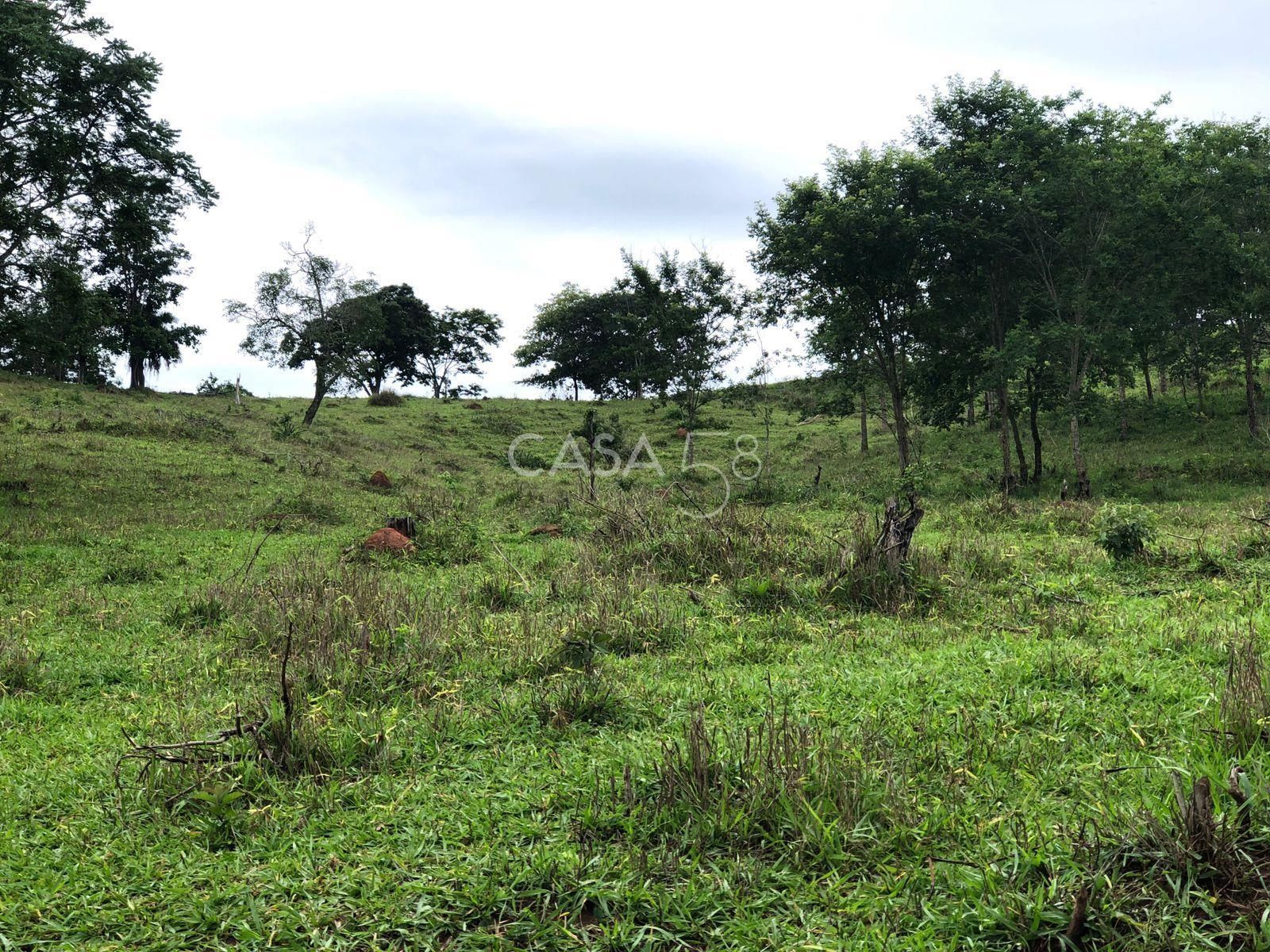 Fazenda à Venda em Marzagão-GO – 240 Alqueires | Pecuária Estruturada