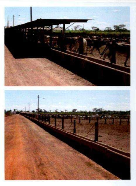 FAZENDA EXCLUSIVA À VENDA – PORTEIRA FECHADA – COCALINHO/MT – 38.420 hectares