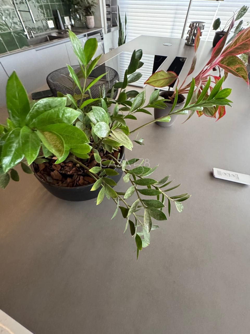 Horizonte Flamboyant | Jardim Goiás – Goiânia/GO 177 m² | 4 Suítes | 3 Vagas