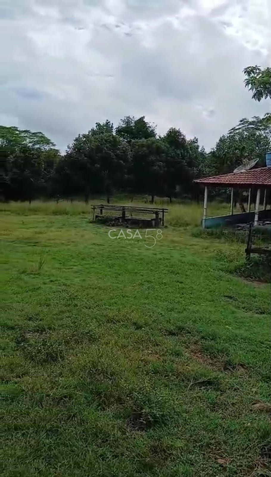 Sítio à venda em Goiás Velho – 42 hectares, pasto formado e água abundante