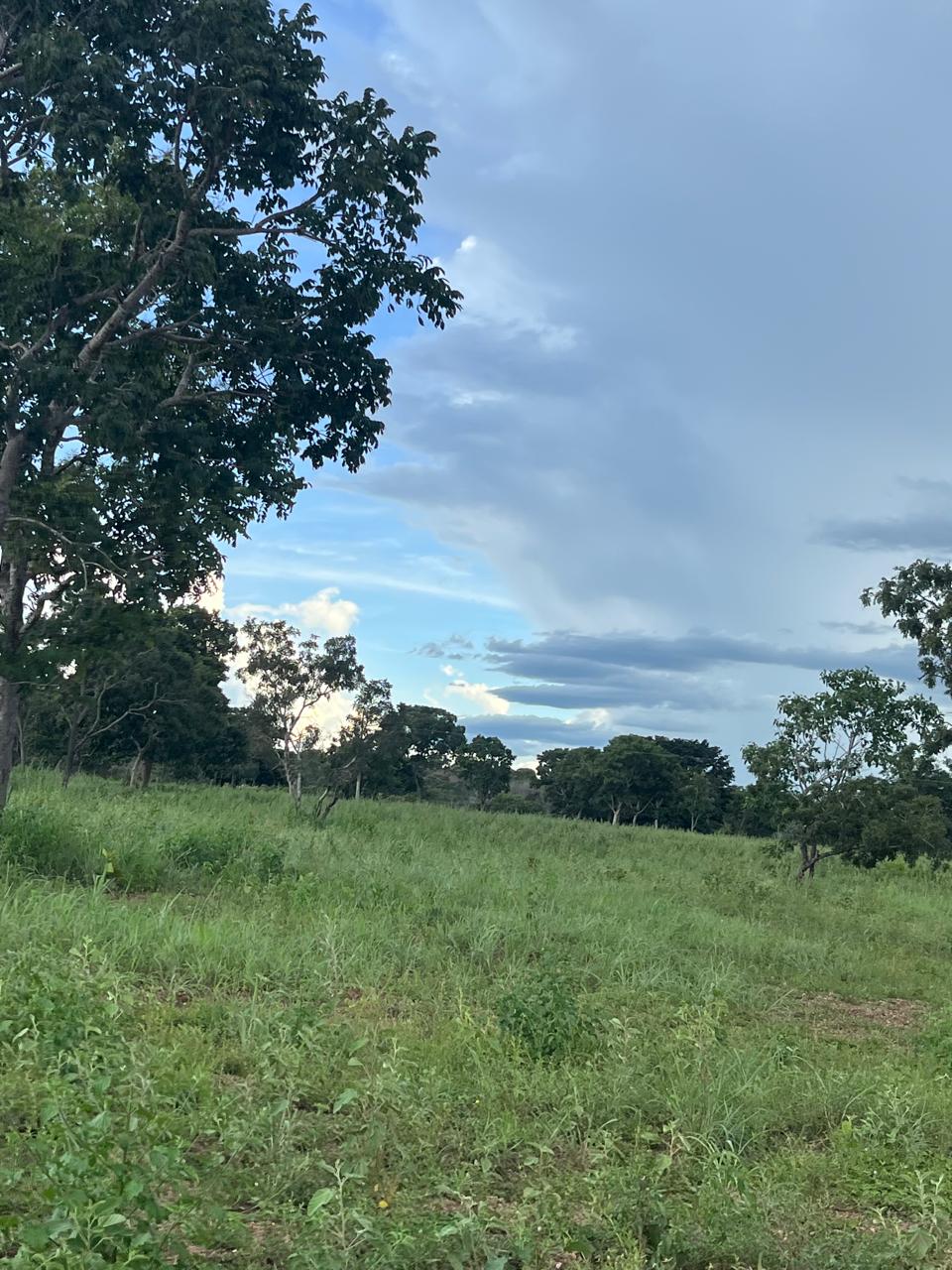Fazenda a venda na Serra da Mesa / 5 alqueires / 3 casas