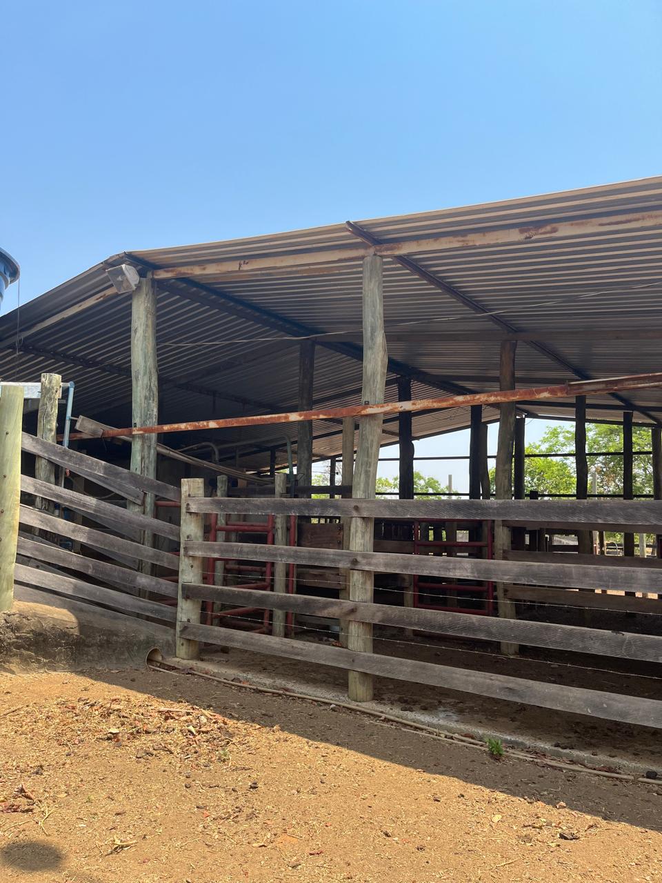 Fazenda a venda na Serra da Mesa / 5 alqueires / 3 casas