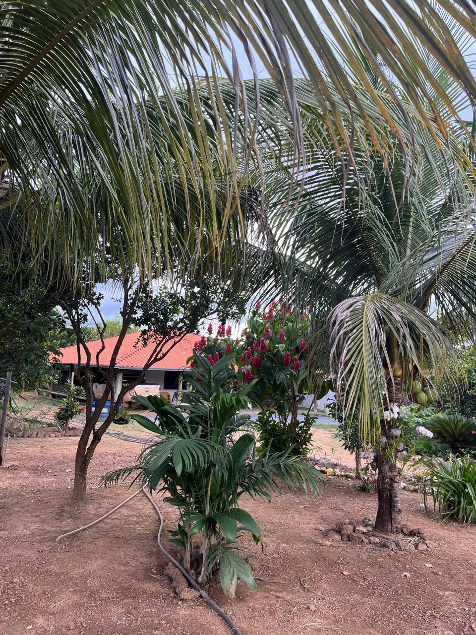 Fazenda a venda na Serra da Mesa / 5 alqueires / 3 casas