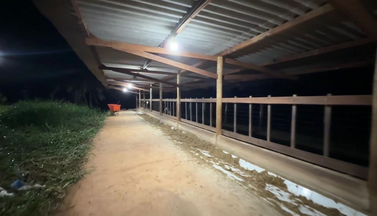 Fazenda à venda - Porteira fechada / Bela Vista de Goiás