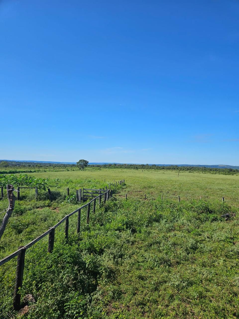 Fazenda à Venda em Baliza, GO / 5033 hectares / Área Agriculturável / 3000 hectares / Área em Pastagens /4000 hectares /Rio de Grande Porte