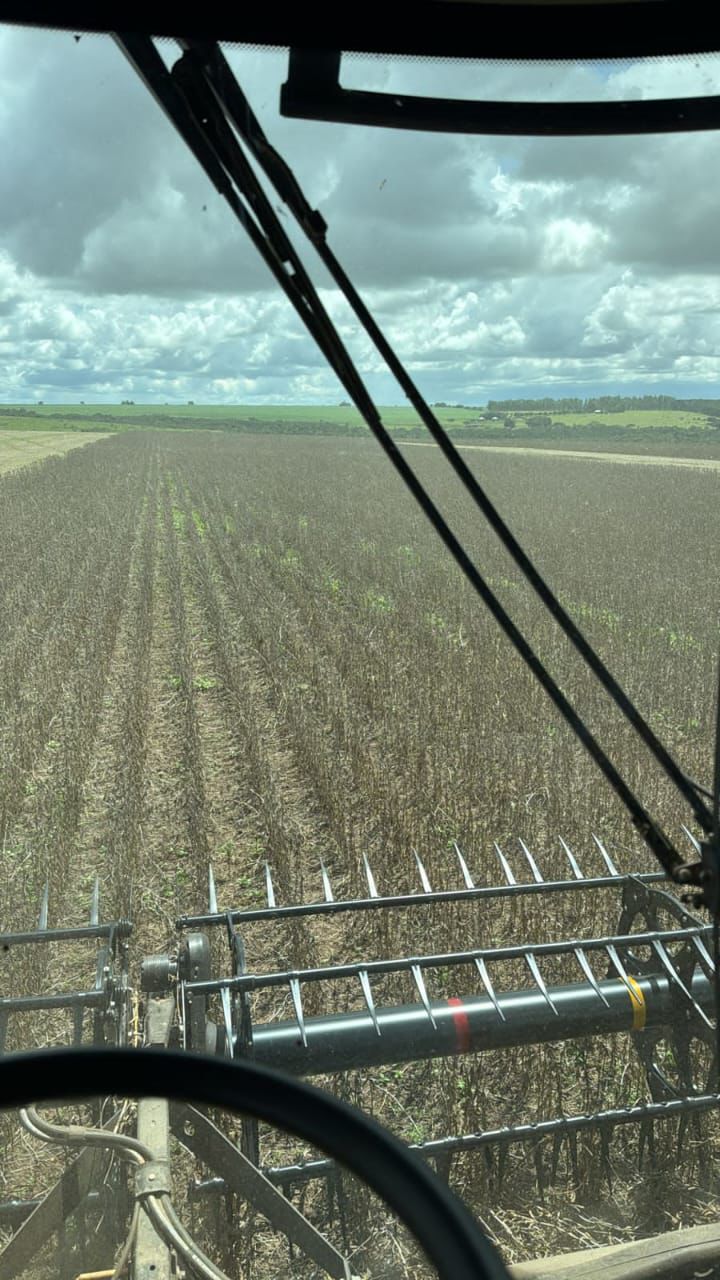 Fazenda à Venda em Baliza / GO / 1471 hectares / 1000 Hectares de Área para plantio / 400km de Goiânia / Benfeitorias Completas