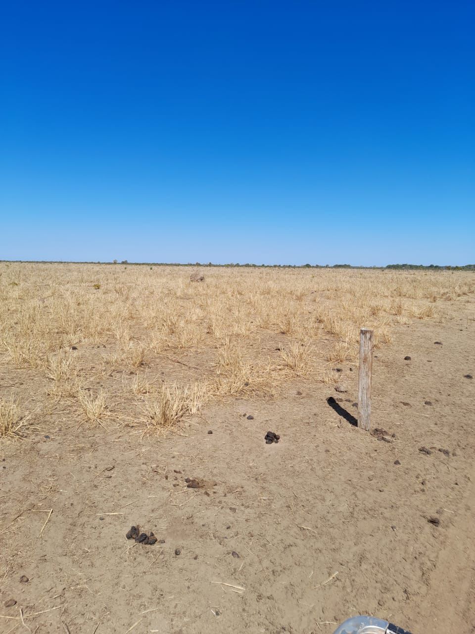 Fazenda em Ribeirão Cascalheira / MT / 11900 hectares total / Benfeitorias completas / Pista de Pouso / Rio próximo / Formada em Pastagens