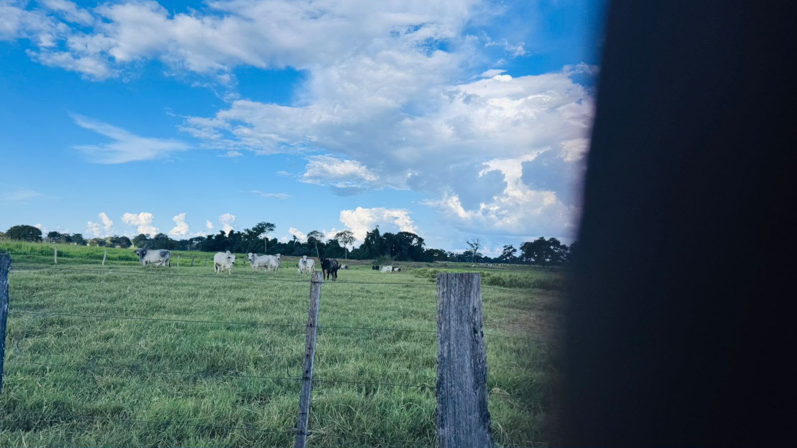 Fazenda à Venda em Aruanã, GO / Dupla Aptidão / Área Total / 13.765 hectares / Área em Pastagens 9.300 hectares / Área em Agricultura 900 hectares