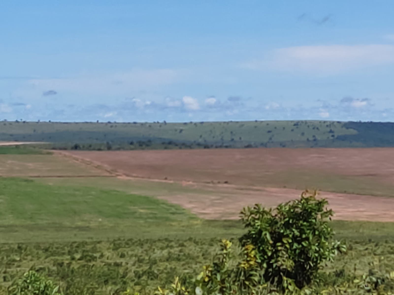 Fazenda à Venda em Serranópolis / 3038 hectares de área total / 1200 hectares de área em lavouras / benfeitorias completas / 2.429 hectares de área aberta