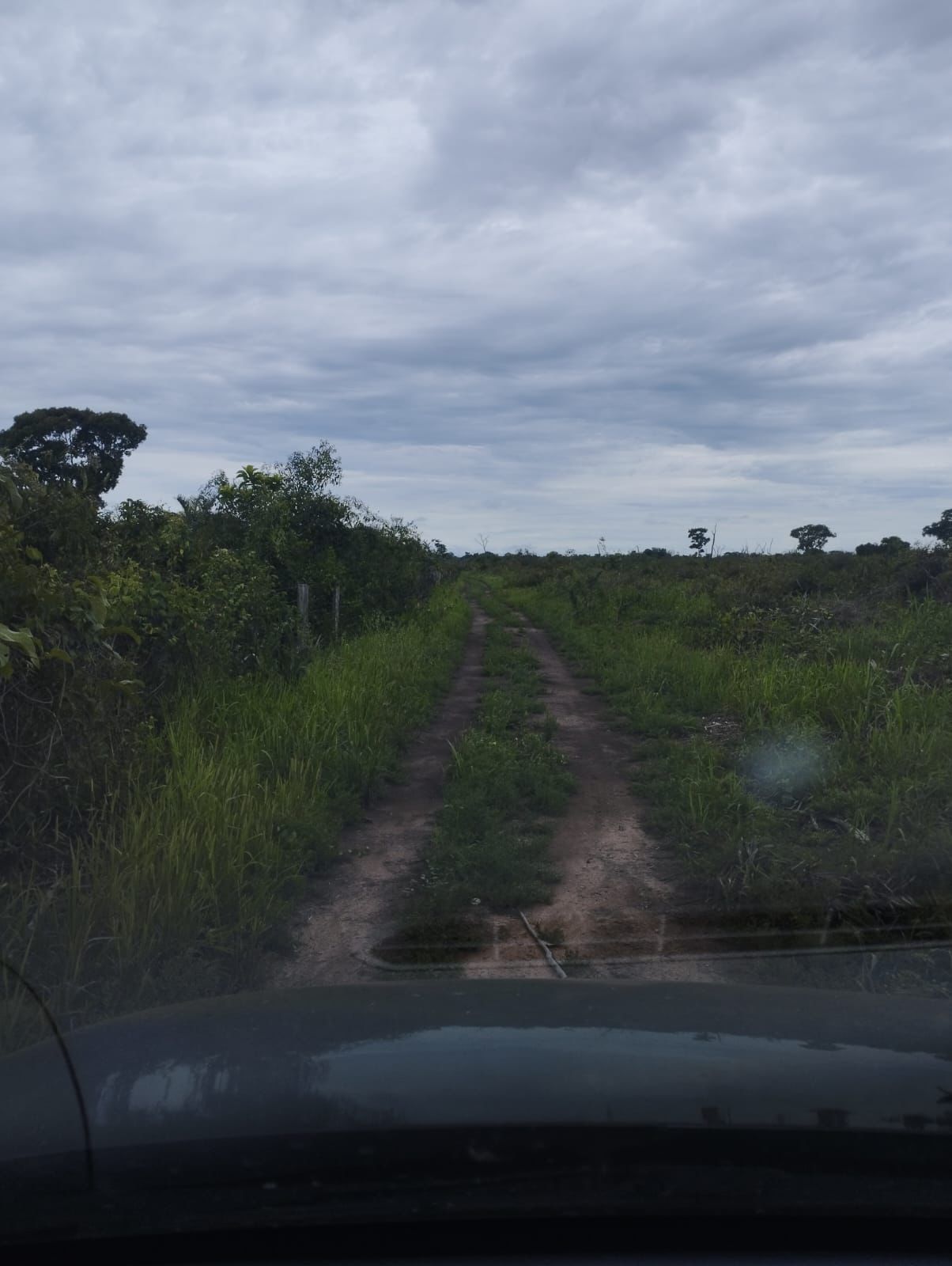 Fazenda à Venda em Nova Crixás, GO / 4080 hectares de área total / 2904 hectares de área aberta / 9 km do Rio Araguaia