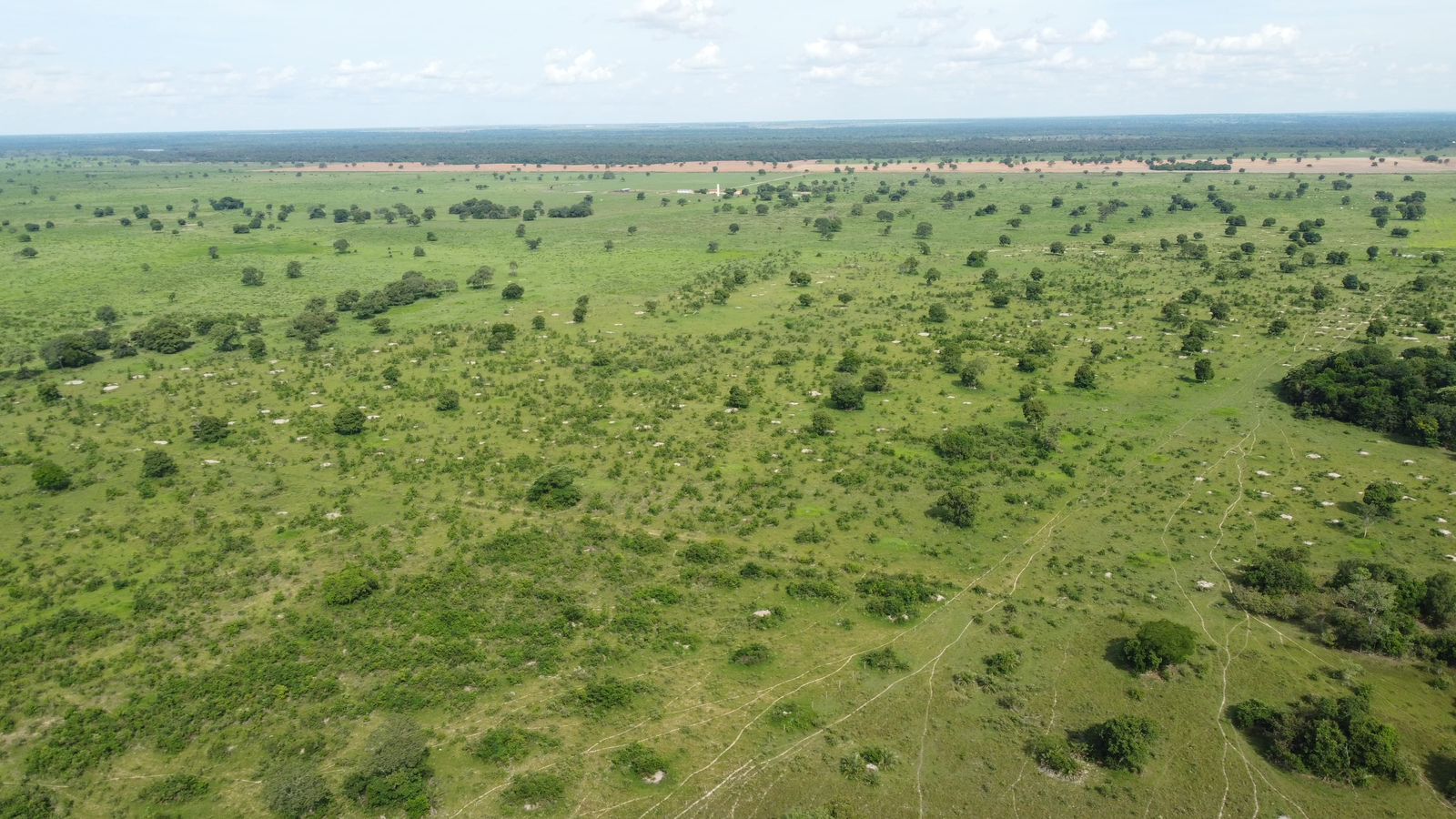 Fazenda à Venda em Araguaiana - MT / 4.158 hectares de área total / 2.900 hectares de área de pastagem / 23 divisões de pasto / curral com brete e balança / galpão de máquinas