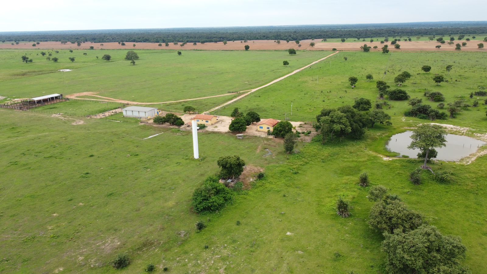 Fazenda à Venda em Araguaiana - MT / 4.158 hectares de área total / 2.900 hectares de área de pastagem / 23 divisões de pasto / curral com brete e balança / galpão de máquinas