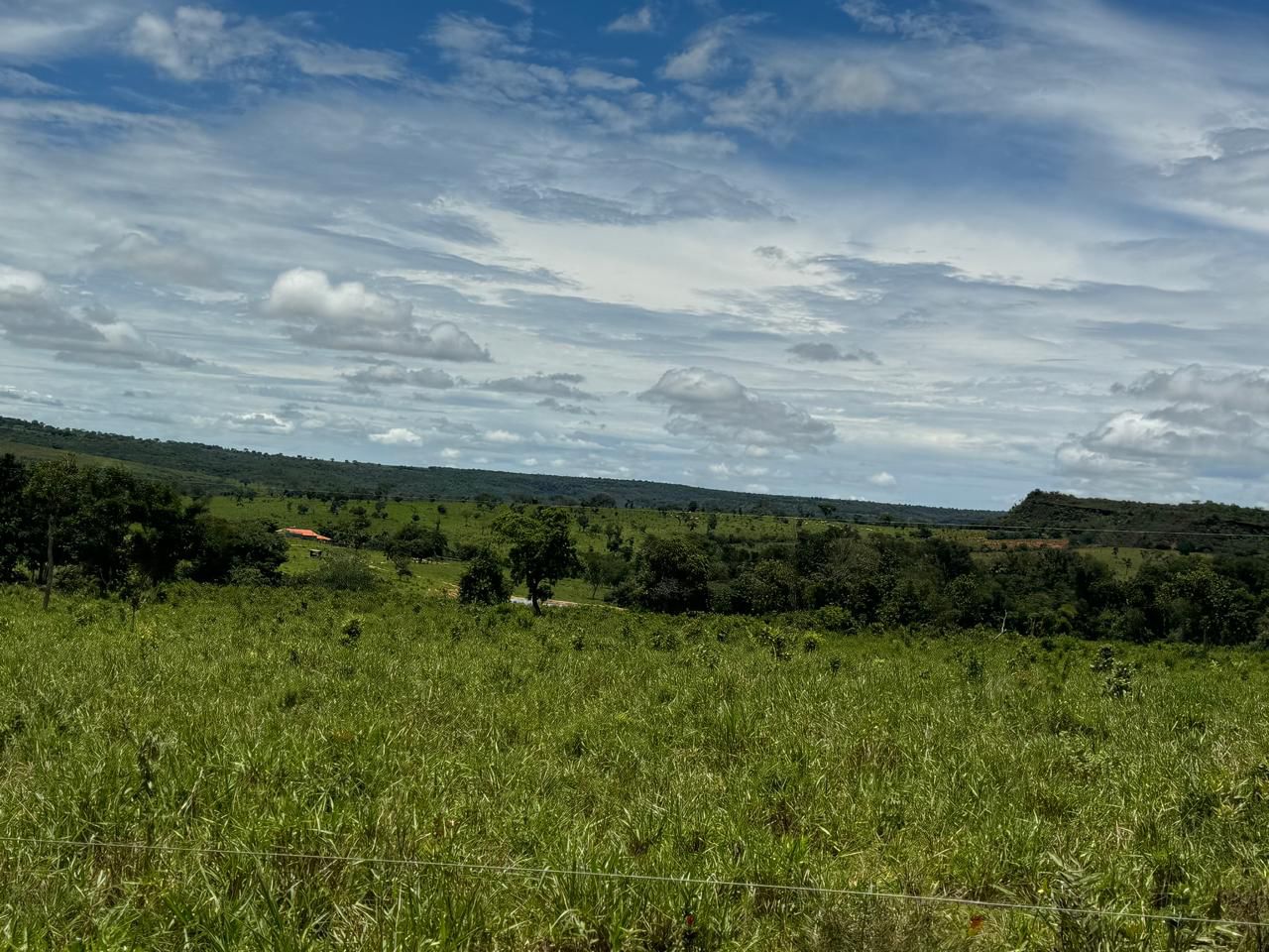 Fazenda em Tesouro, MT / 1936 hectares de área total / 1000 hectares de área em pastagem / Topografia plana e ondulada / 2 currais simples / 150km de Barra do Garças - MT