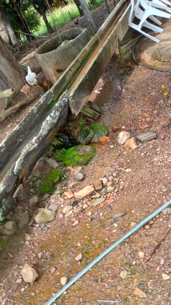 Fazenda à Venda em Bela Vista de Goiás – GO / 32 Alqueires