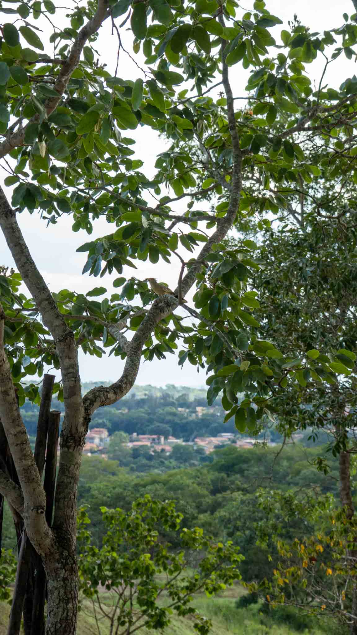ALDEIA DO VALE - CONDOMÍNIO FECHADO