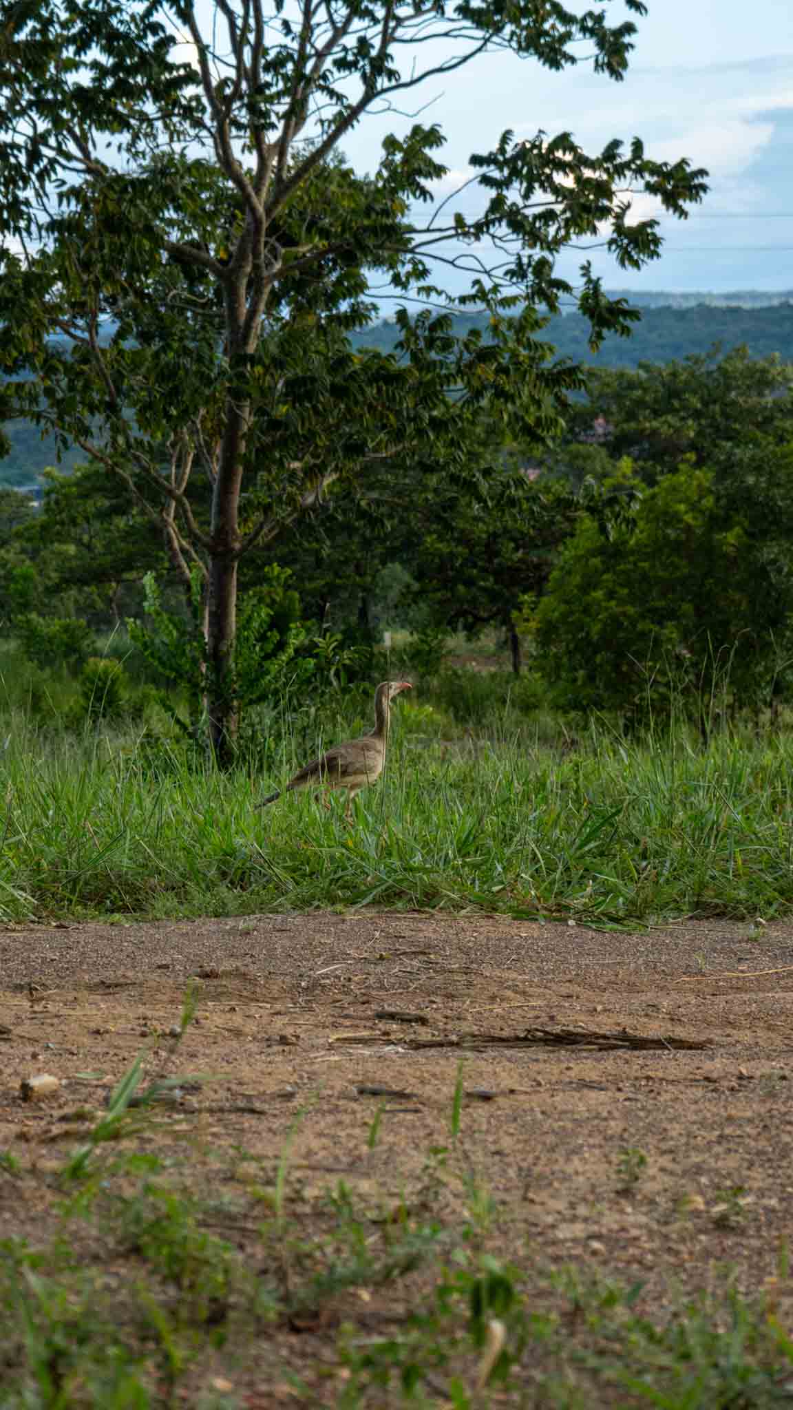 ALDEIA DO VALE - CONDOMÍNIO FECHADO