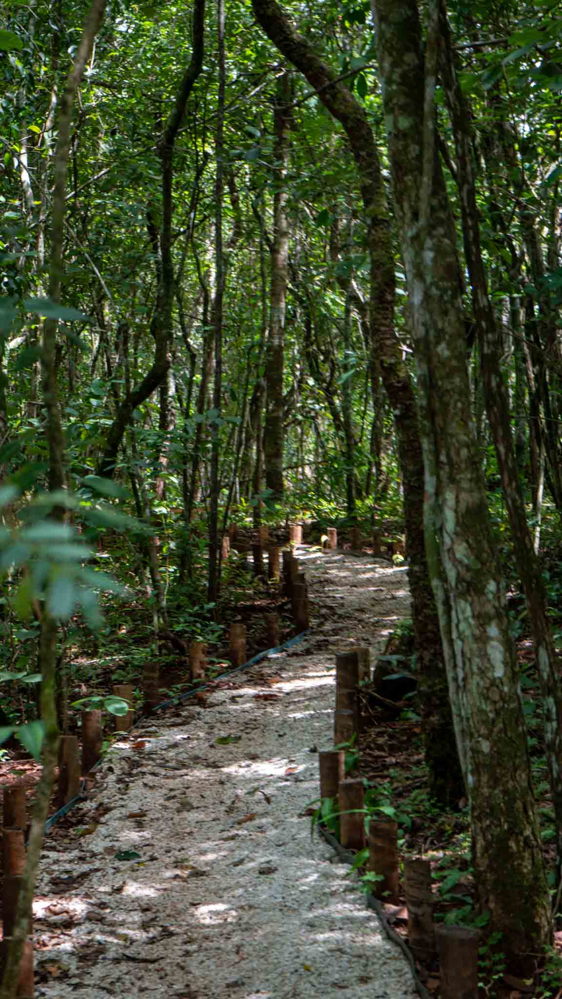 ALDEIA DO VALE - CONDOMÍNIO FECHADO