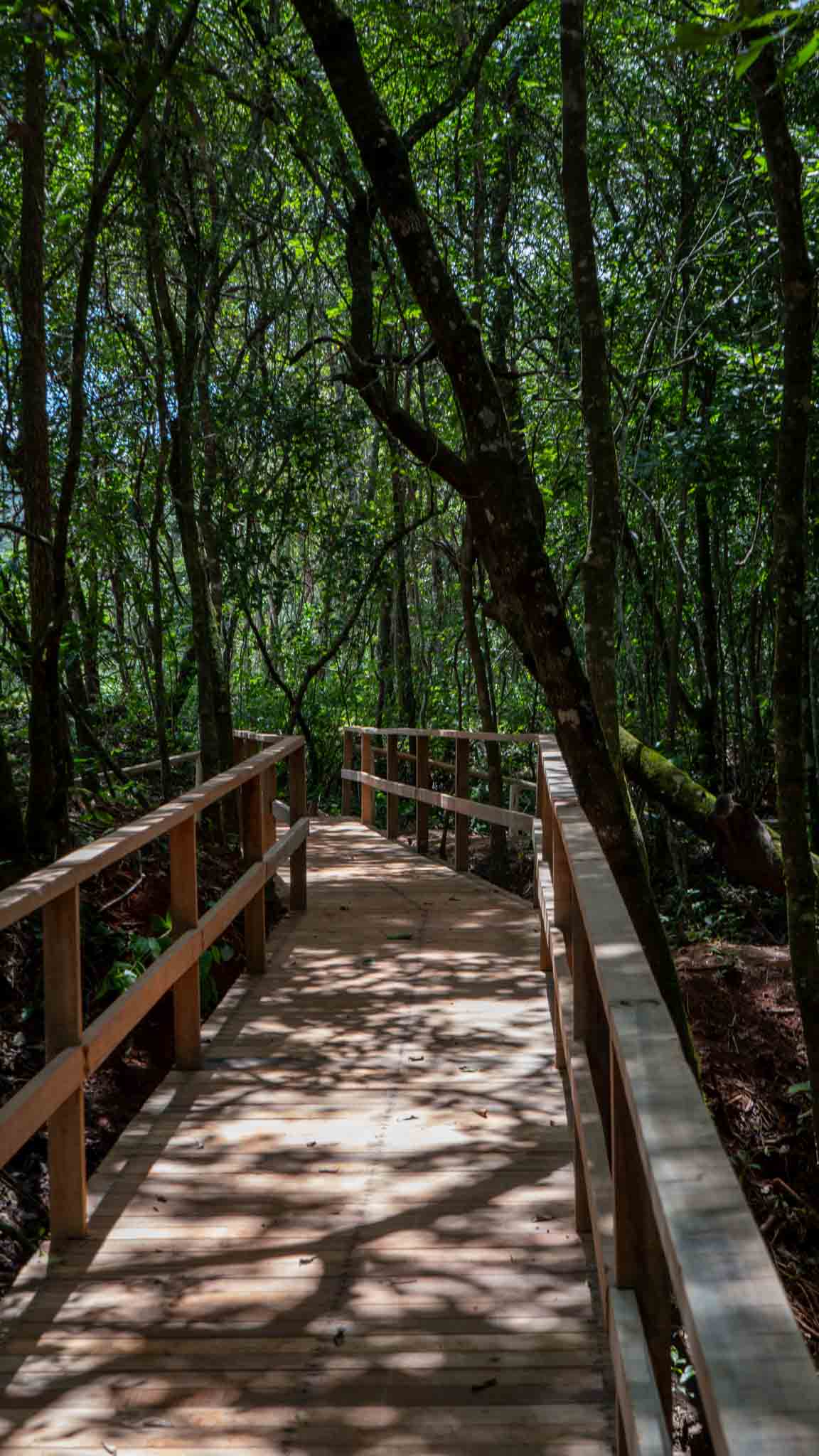 ALDEIA DO VALE - CONDOMÍNIO FECHADO